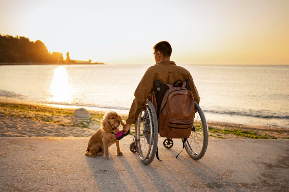 Full shot disabled man in a wheelchair traveling with dog